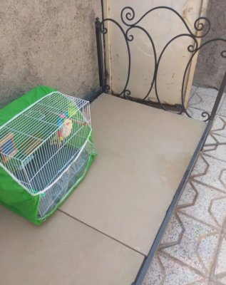 تخت آهنی یک نفره