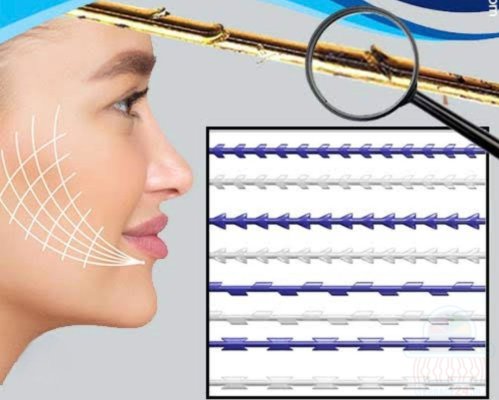 دوره های آموزشی